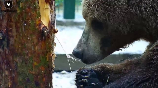 Надо все осмотреть,обнюхать и...попробовать на зуб конечно