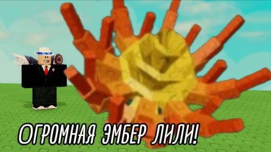 Я первый раз вырастил большие растения!
