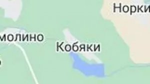 Концертно-развлекательная программа "Песни родной стороны" в деревне Кобяки.