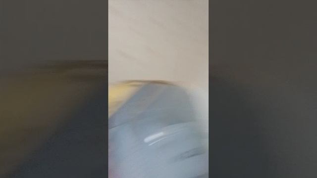 1000006453.mp4