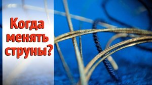 Как часто надо менять струны и почему они перестают звучать и строить. | Ремонт гитар |