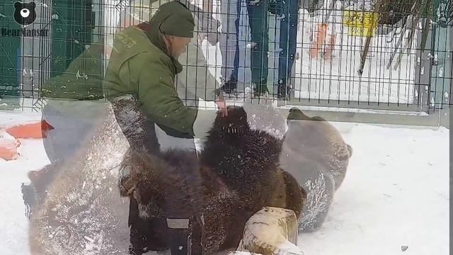 Пышная звезда и репортер