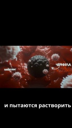 Почему тату держится в коже - Топлес