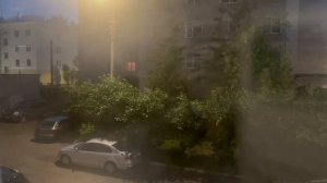 Вид на деревья во дворе - Timelapse from the window