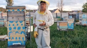 Время объединять пчелиные семьи