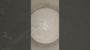 булочки