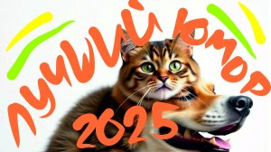 Убойный юмор, лучшее за 2025 год!