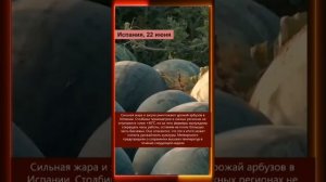 23.06.2025 Что произошло в мире