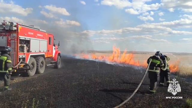 С начала июня сотрудники МЧС России по Запорожской области ликвидировали свыше 400 пожаров