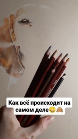 Вся правда 😄🙈