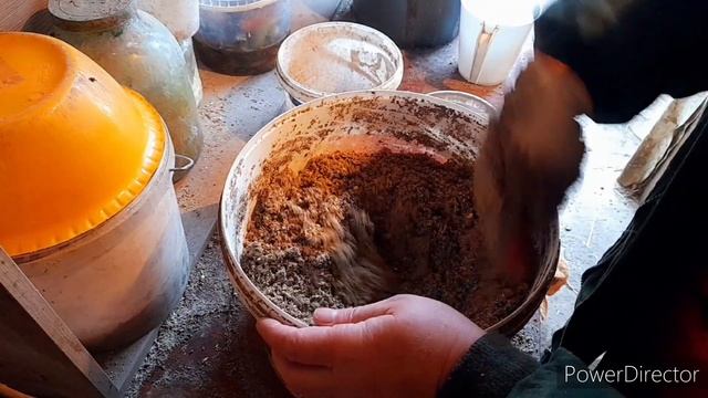 ‼️Важная Добавка для Яйценоскости Кур//Как кормлю Кур Зимой?!