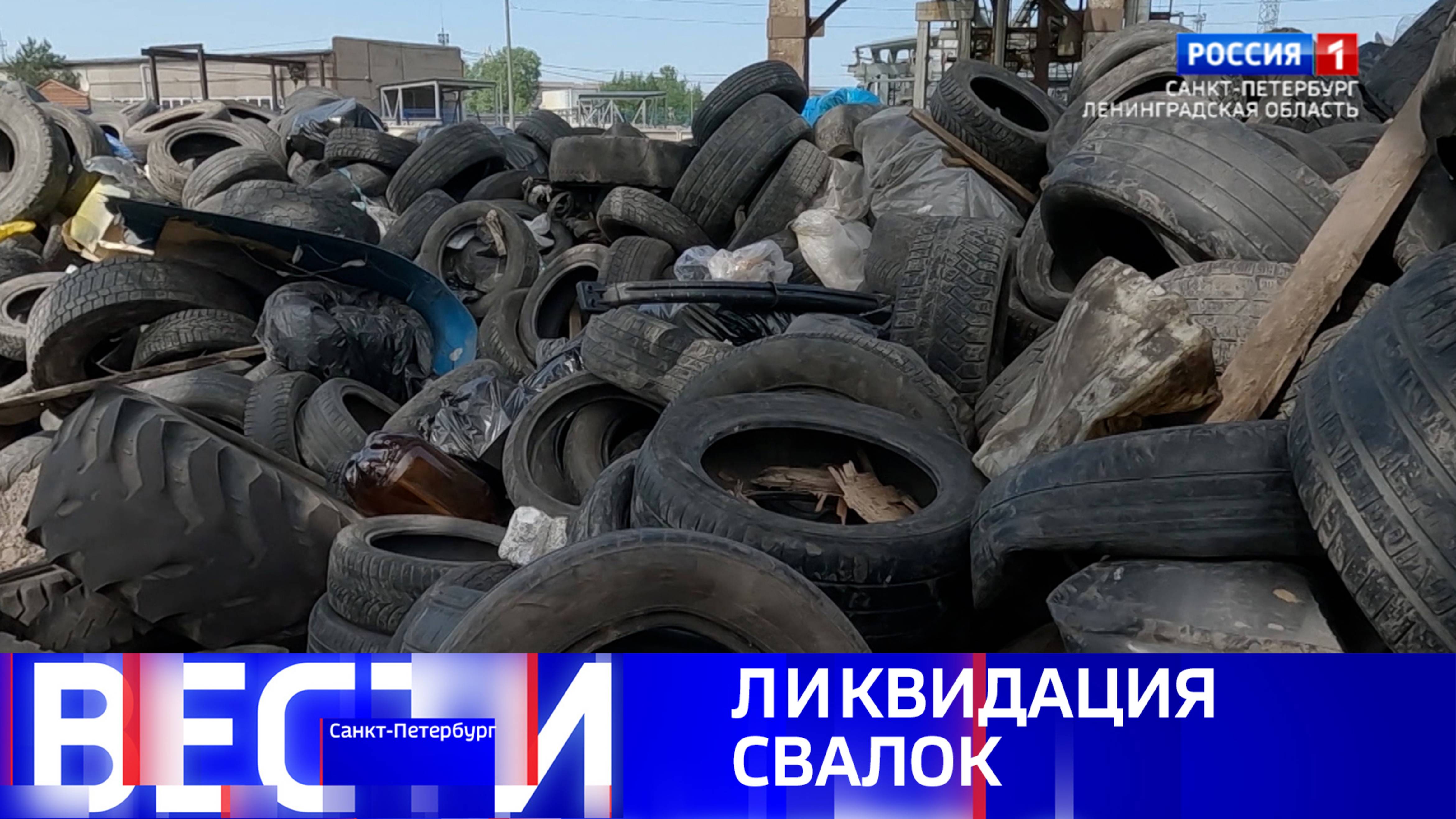 Вести Санкт-Петербург. Выпуск 11.30 от 24.06.2025