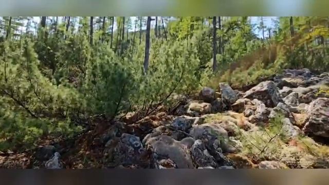 три дня выхода из тайги, а всё так хорошо начиналось
