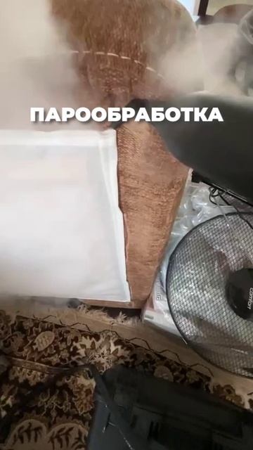 Парообработка кровати с клопами