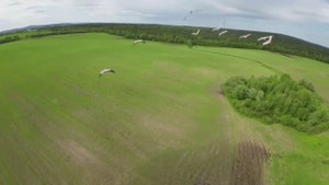 Завораживающее зрелище! Стая журавлей.
Сегодня снова в небо, и вот такой подарок от природы!