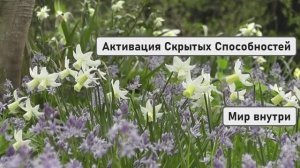 СИЛА БЕЗУСЛОВНОЙ ЛЮБВИ | Активация Скрытых Способностей Через Сердечный Центр