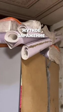Жуткое заражение