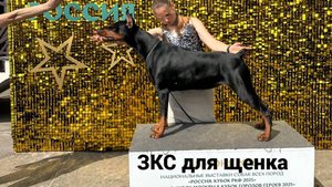 зкс для щенка Нара