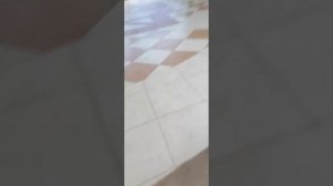 прогулка по Кисловодску