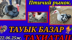 24-06-2025 Птичий рынок