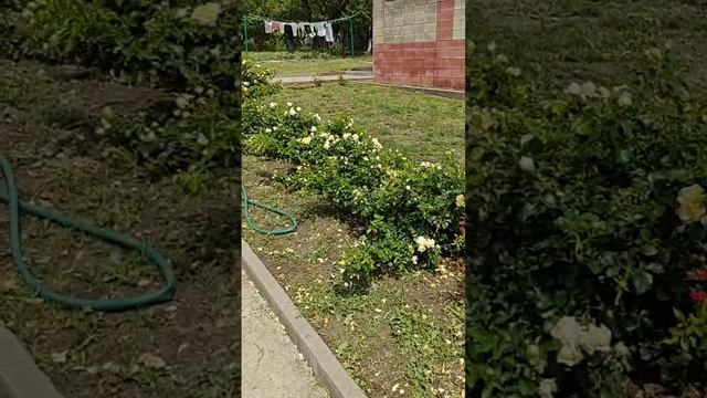 Дом в Стрелецком рядом с новой школой!
