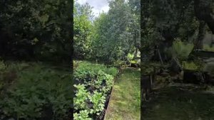 document_5393552761323287289
