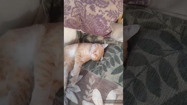 Ой, мама))
