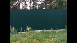 video_2025-06-24_11-17-43