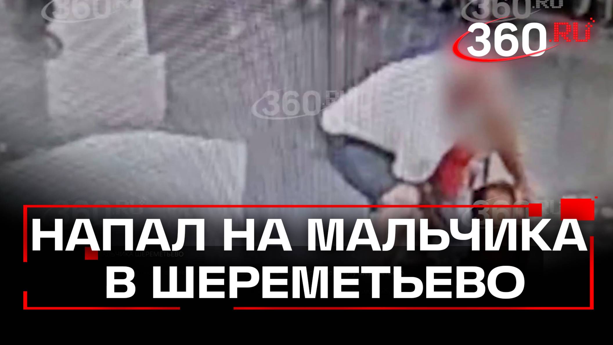 Переломы черепа и позвоночника: двухлетнего мальчика швырнул на пол турист в аэропорту Шереметьево
