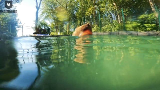 А что это вы тут делаете? смотреть онлайн