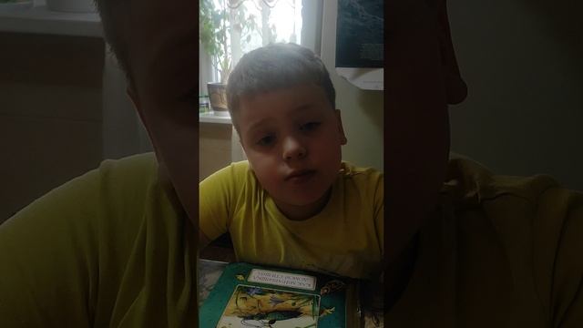 муравьишка спешит домой. Краткое описание..