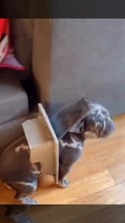 Зачем ключи от дома