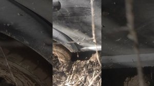 Поездка к реке Жиздре 2 (22.04.2023)