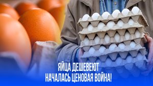 Яичный Армагеддон: в России началась война цен! Что будет с вашим кошельком?