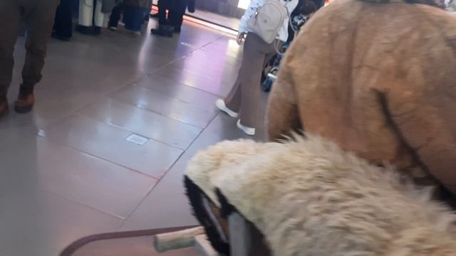 Калужская область в тематическом павильоне города Калуги на всероссийской выставке парке Москвы ВДНХ