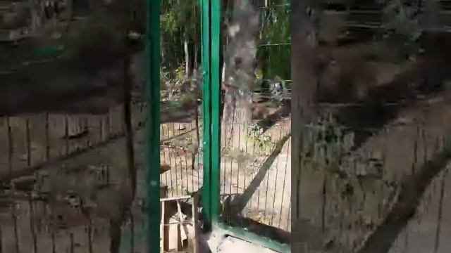 Субботнее утро с Мансуром Прямой эфир инстаграм @mansurbear 28.09.19