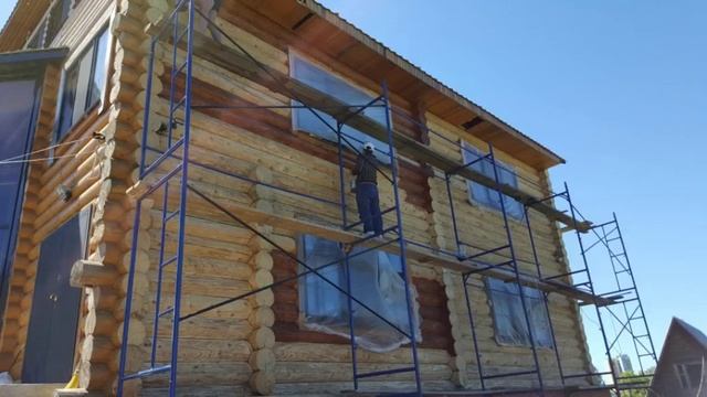 Как Живица спасла деревянный дом