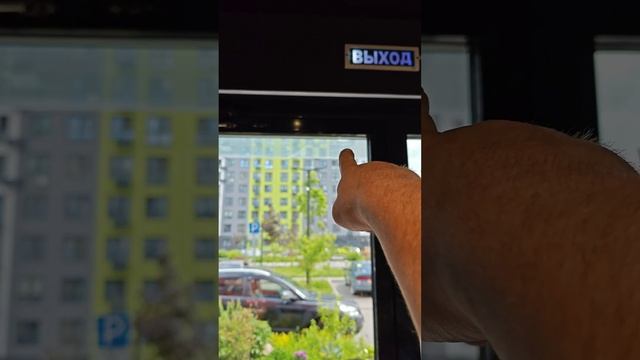 Стеклопакет теперь тоже Халяль.