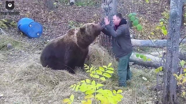 Верхом на пушистой звезде ⭐