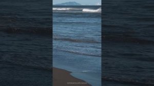 🌊 КАМЧАТКА. Тын океанның Авачин култыгы / Авачинский залив Тихого океана