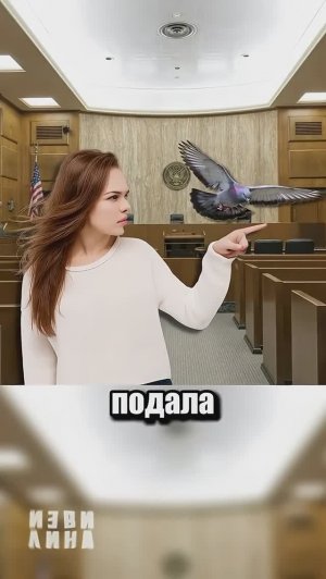 Женщина подала в суд на голубя
