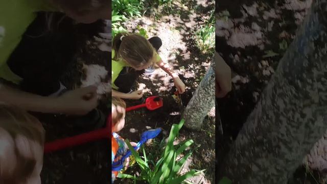 💥 ВЕДЕМ РАСКОПКИ НА ДАЧЕ!