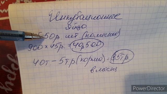 Заработок на Курах, Яйцах!//Сколько денег съедают Куры?//Яйца и зимой и летом!