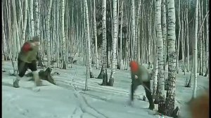 новый фильм
