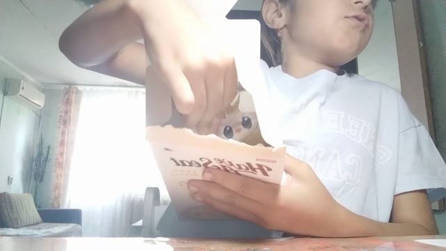 распаковка лабубу
