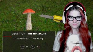 Прогулка за грибами ✮ Mushroom Hunter World Demo ✮