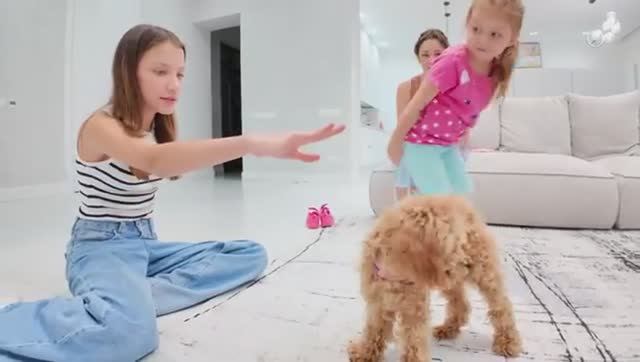 СТАЛА МАМОЙ в 13 ЛЕТ 🐶 Самое Милое Видео / Вики Шоу