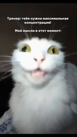 А чтобы так не было, следуйте нашим советам!
