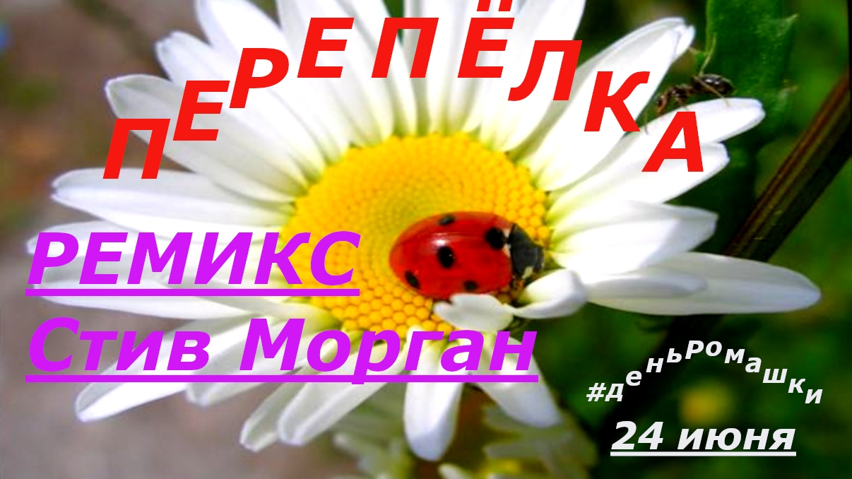 РОМАШКА царица полей | ЛЕТО цветущее ягодное #деньРомашки 24 Июня