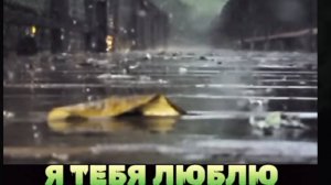 Je t'aime Я тебя люблю